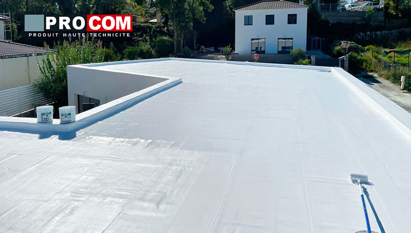 peinture toiture blanche cool roof 